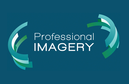 Professional Imagery Logo